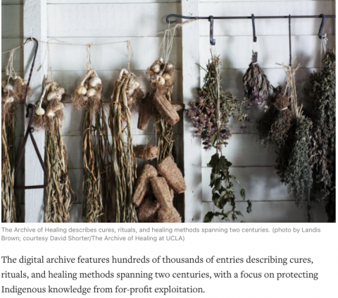 Hyperallergic Article Image of Herbs Drying